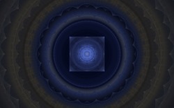 2014 04 30 Webs and Things 09-black.jpg